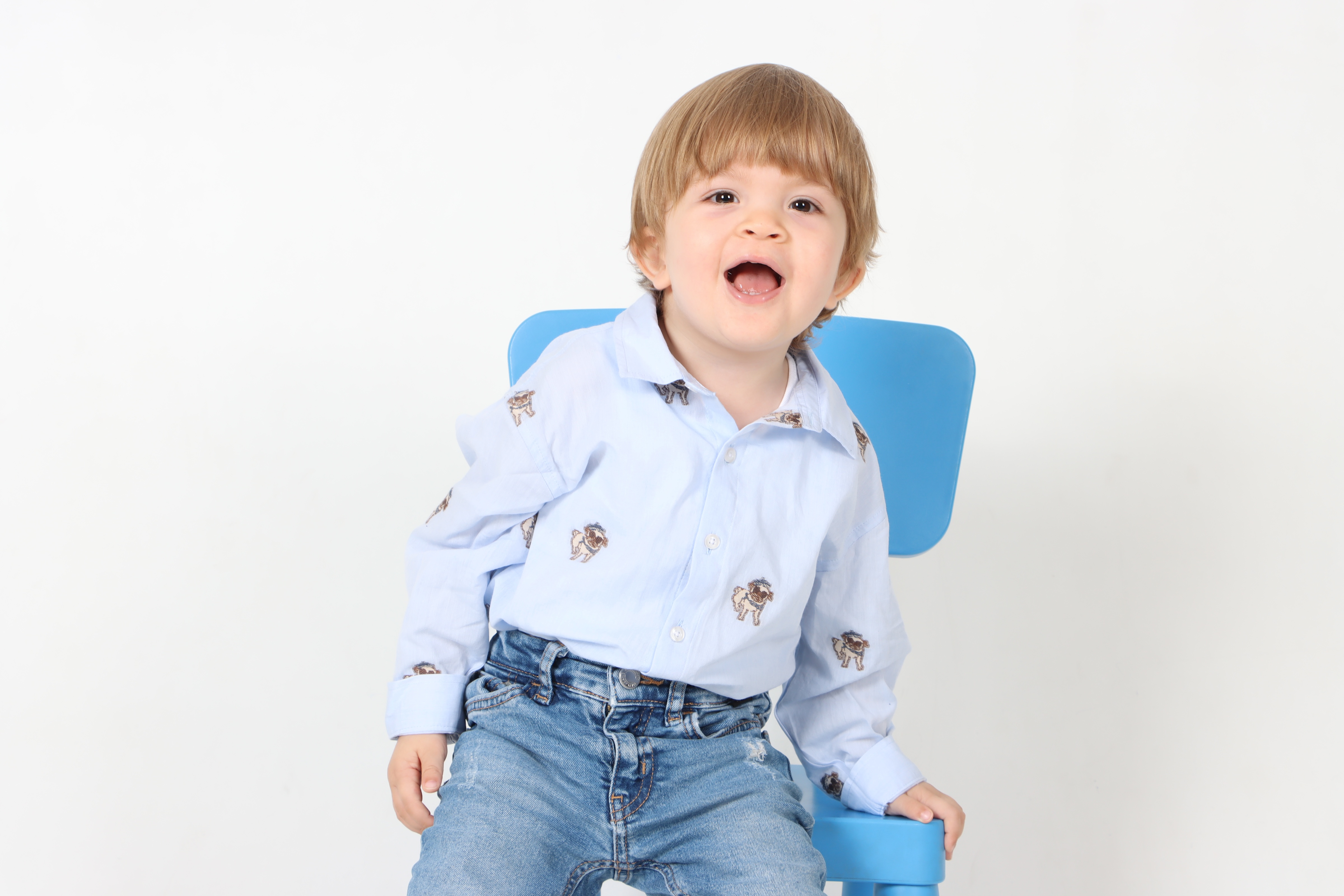 Demir Alp Tanrıkulu